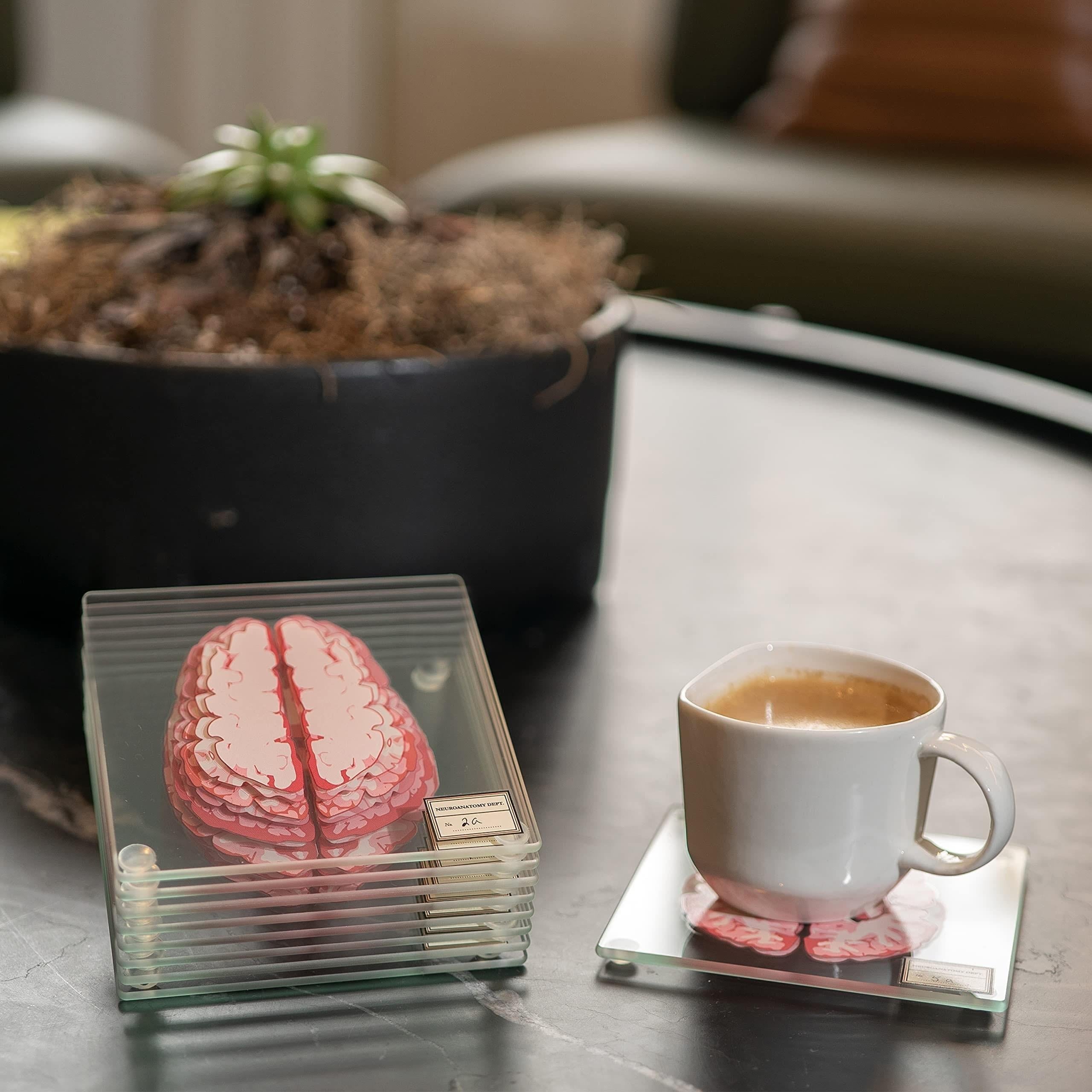 Collection de sous-verres sur l'anatomie du cerveau