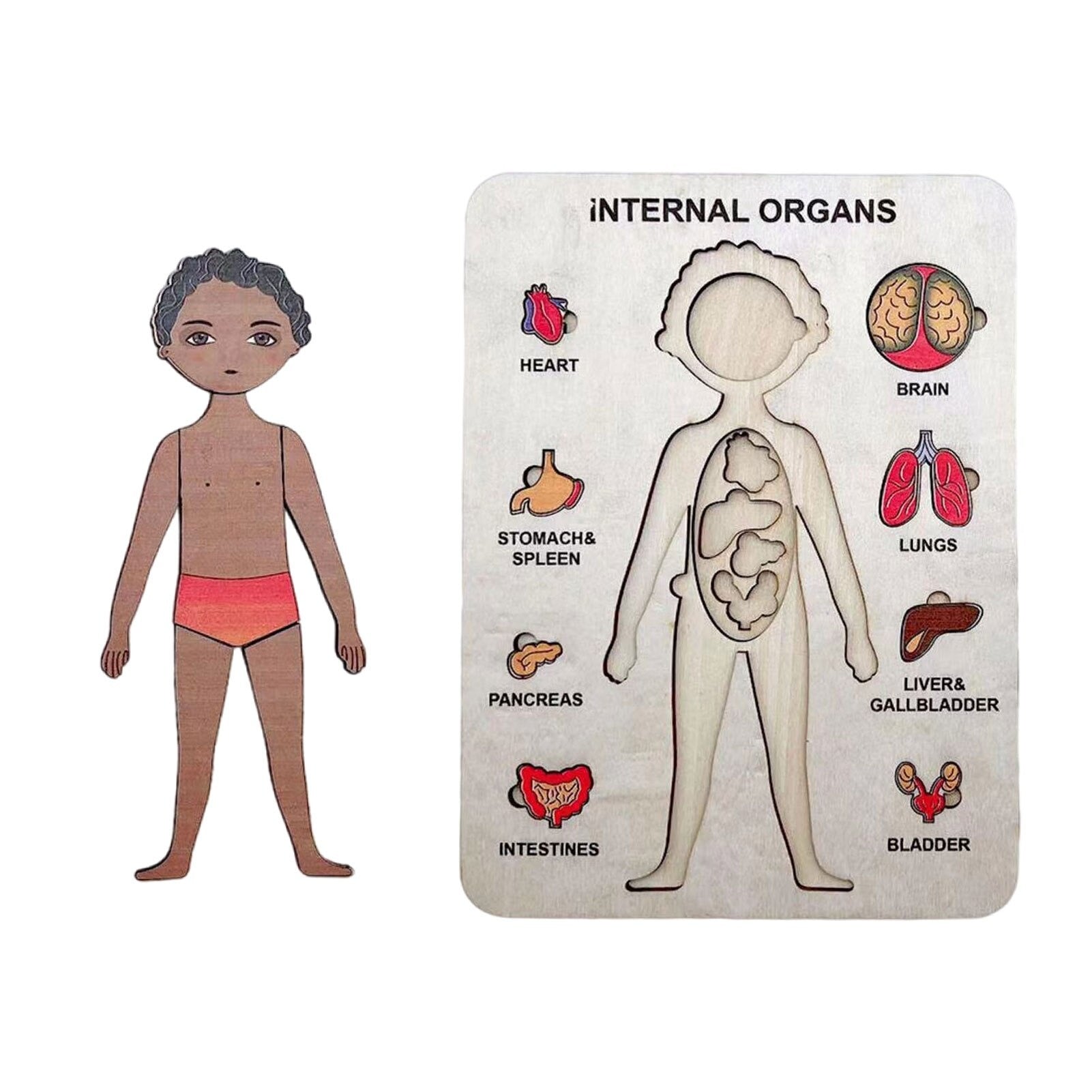 Woods™ | Discover the human body - Educational puzzle