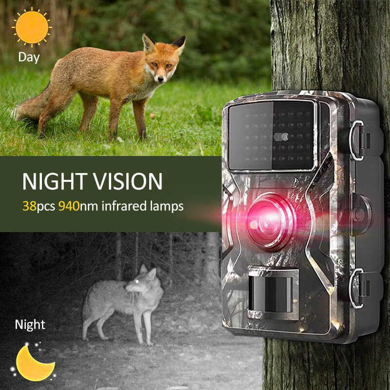 Caméra de vision nocturne pour animaux sauvages en extérieur