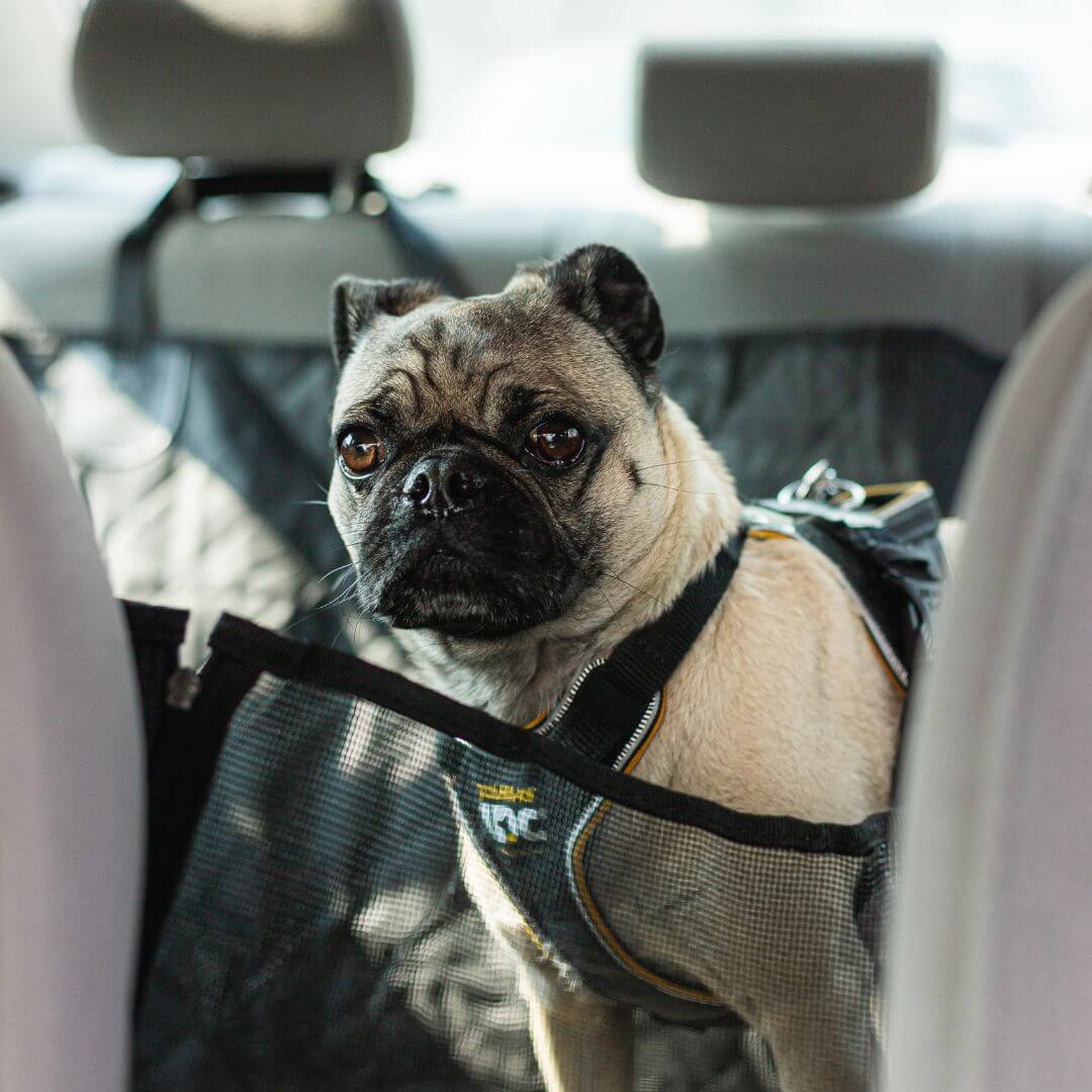 My Furry Friend™ - Funda para asiento de coche para perros