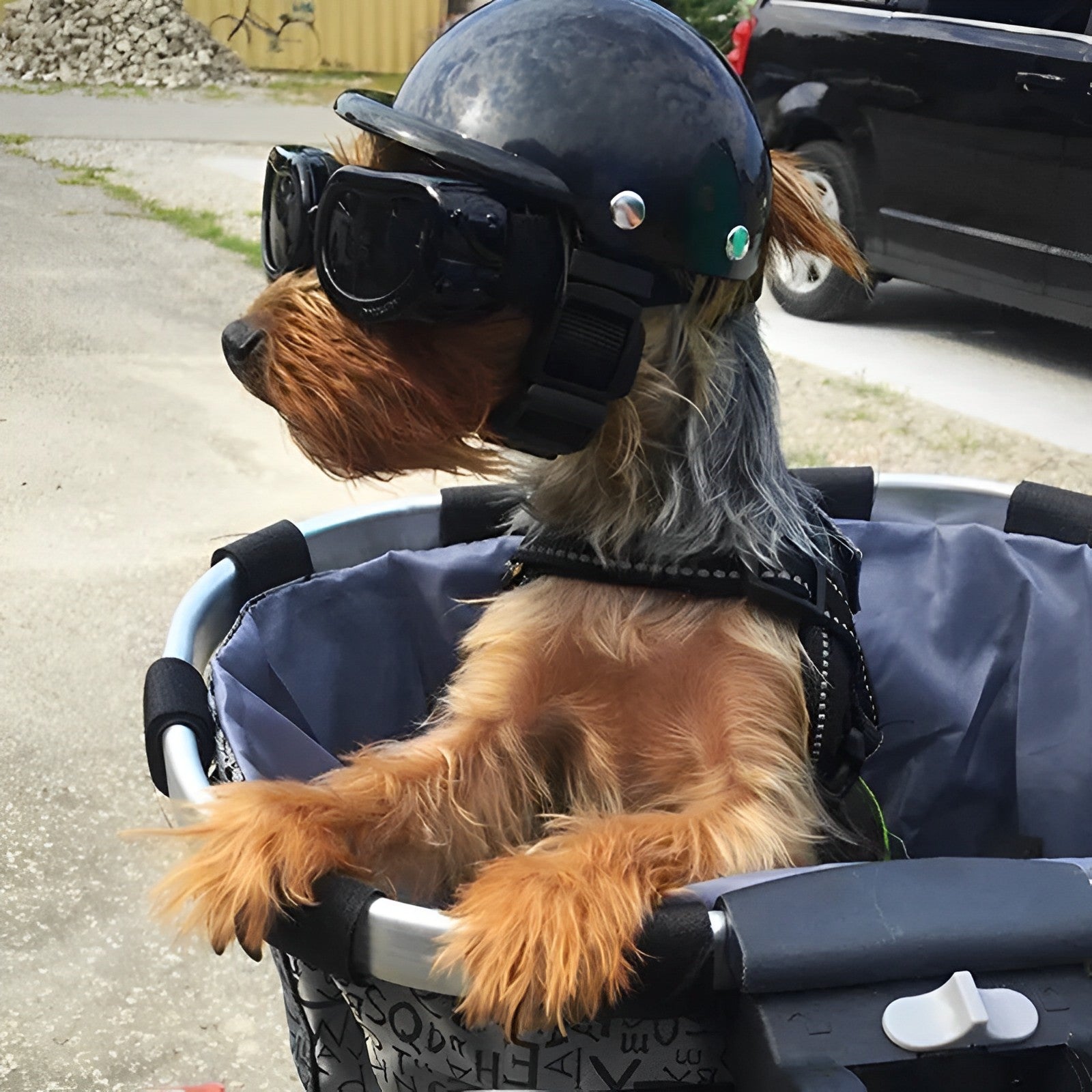 Motorcykelhjelm og beskyttelsesbriller til hunde | Trendy og sikker