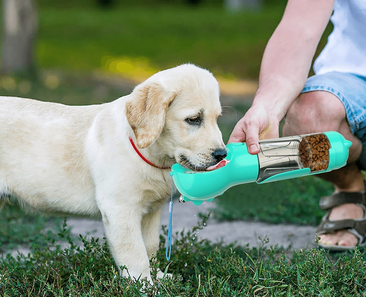 My Furry Friend™ - Botella de viaje