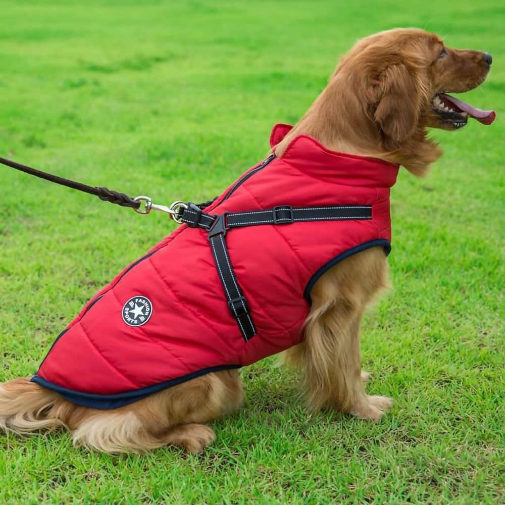 Hundejacke ™