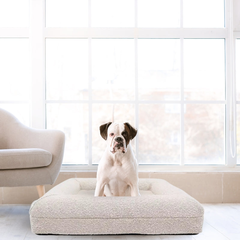 Comfy Boucle Memory Foam Dog Bed