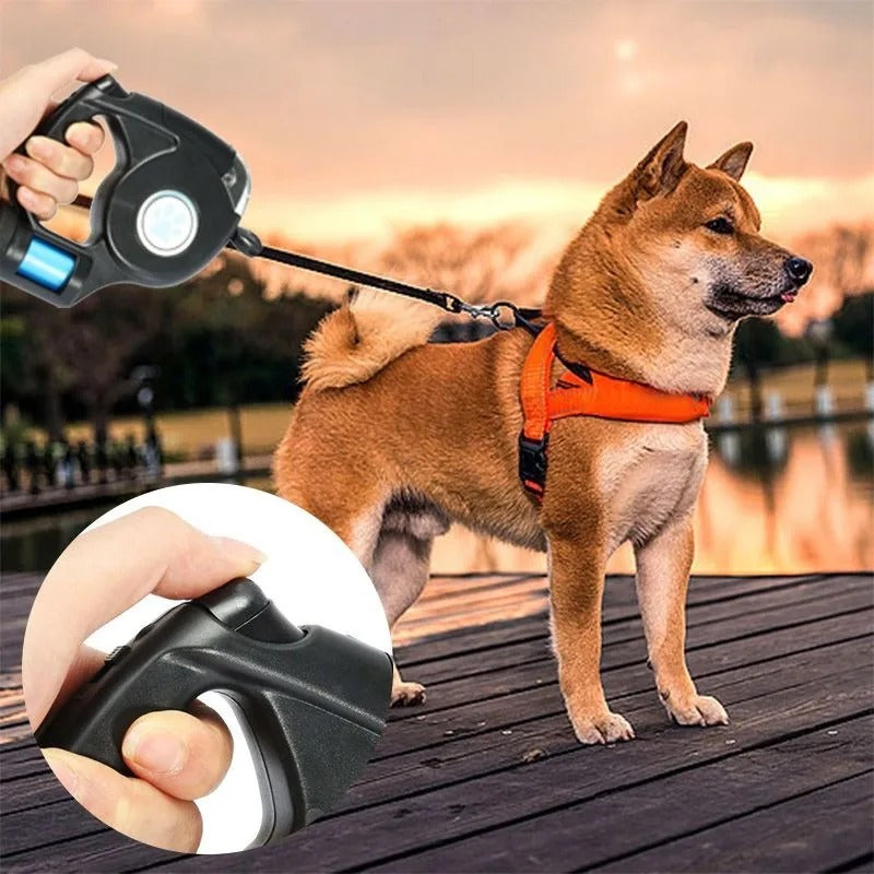 Laisse pour chien Amélie - Laisse extensible LED