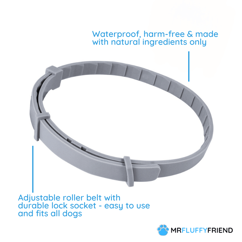 My Furry Friend™ - Flea and Tick Prevention Collar