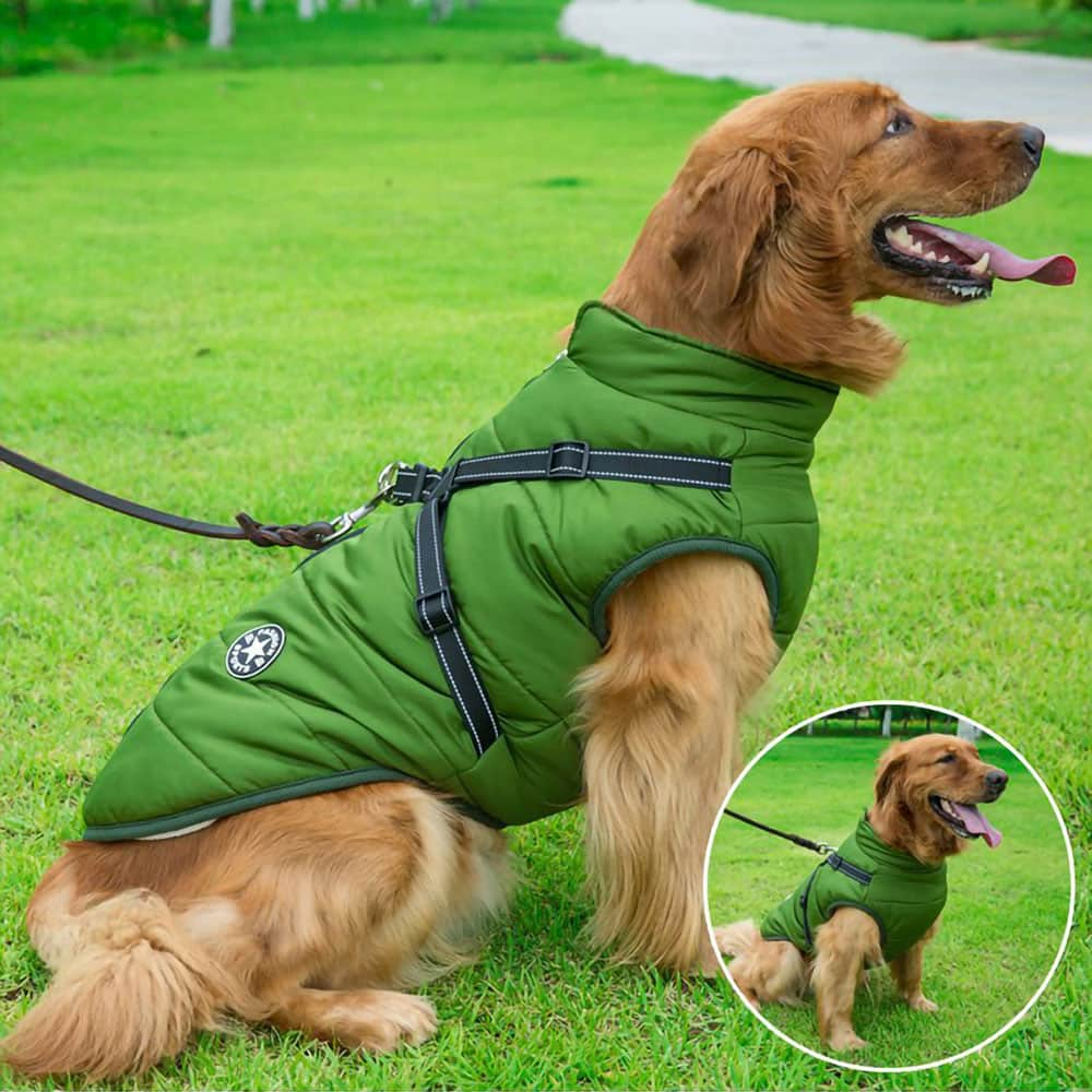 Hundejacke ™