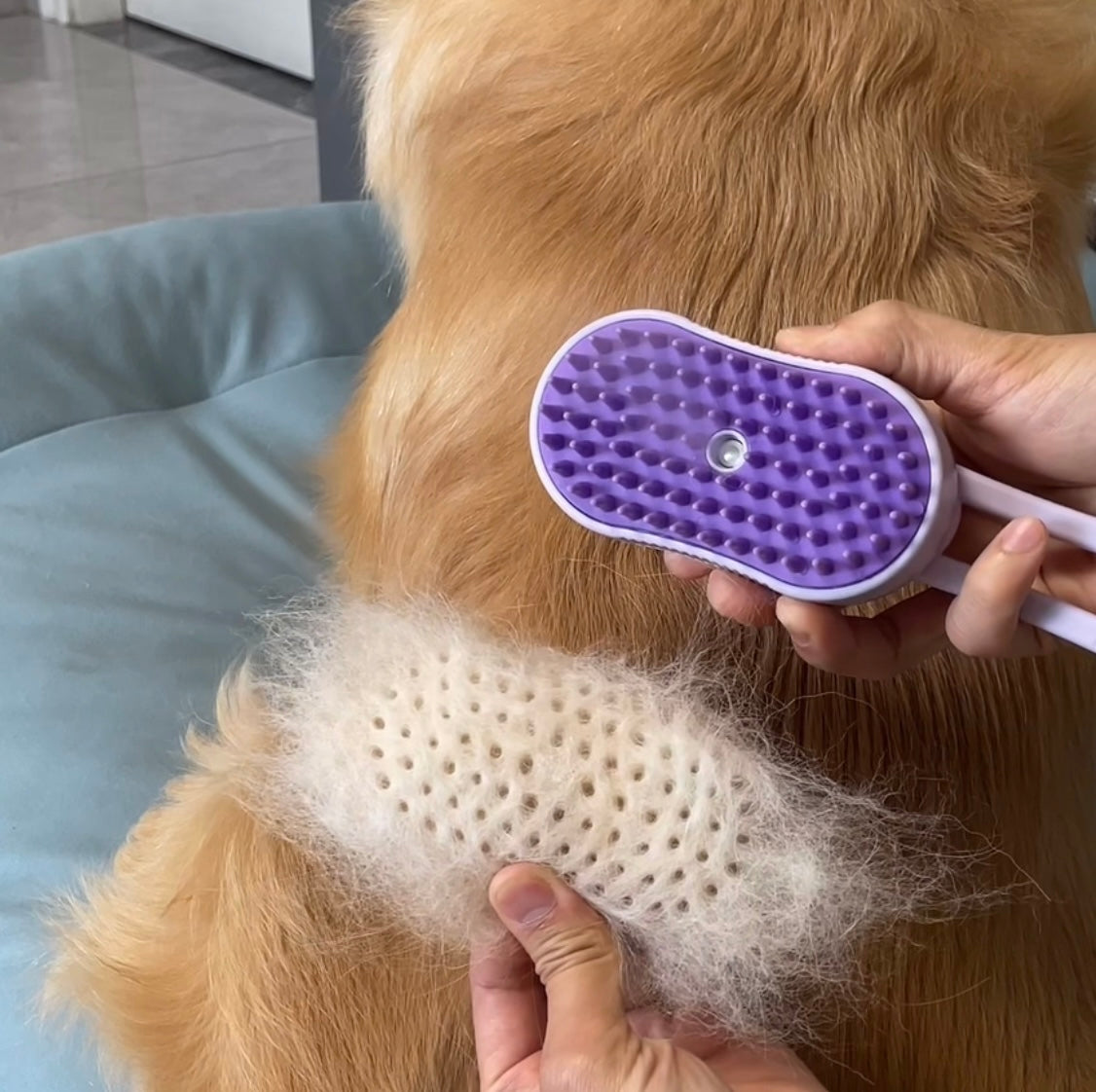 3In1 Water Dog Brush