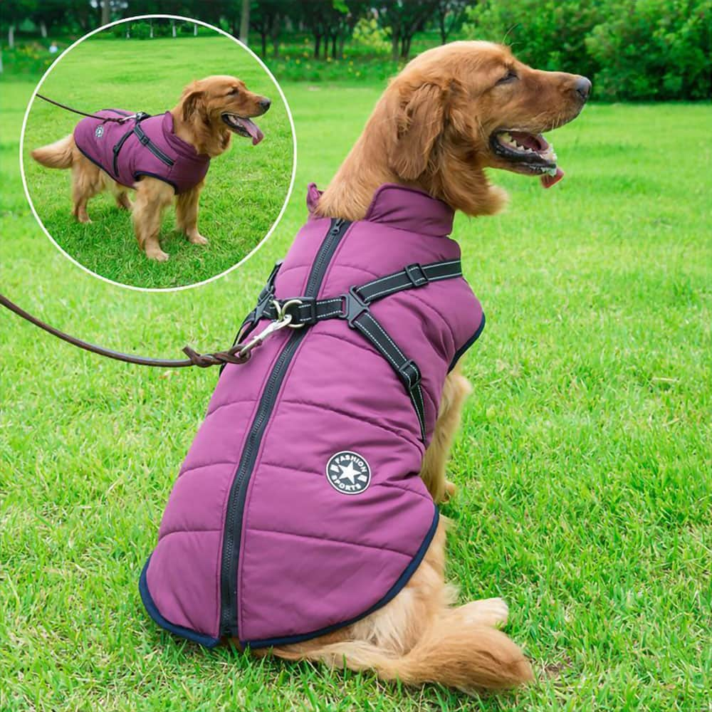 Hundejacke ™