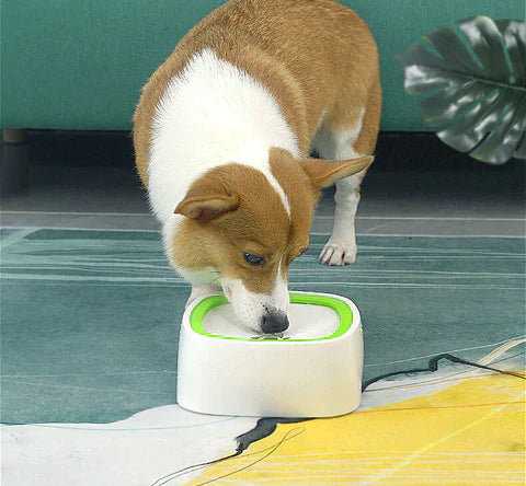 My Furry Friend™ - Hygienic Water Dispenser