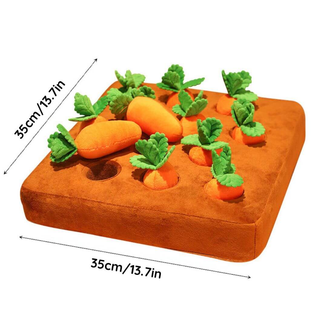 My Furry Friend™ - Carrot Snuffle Toy