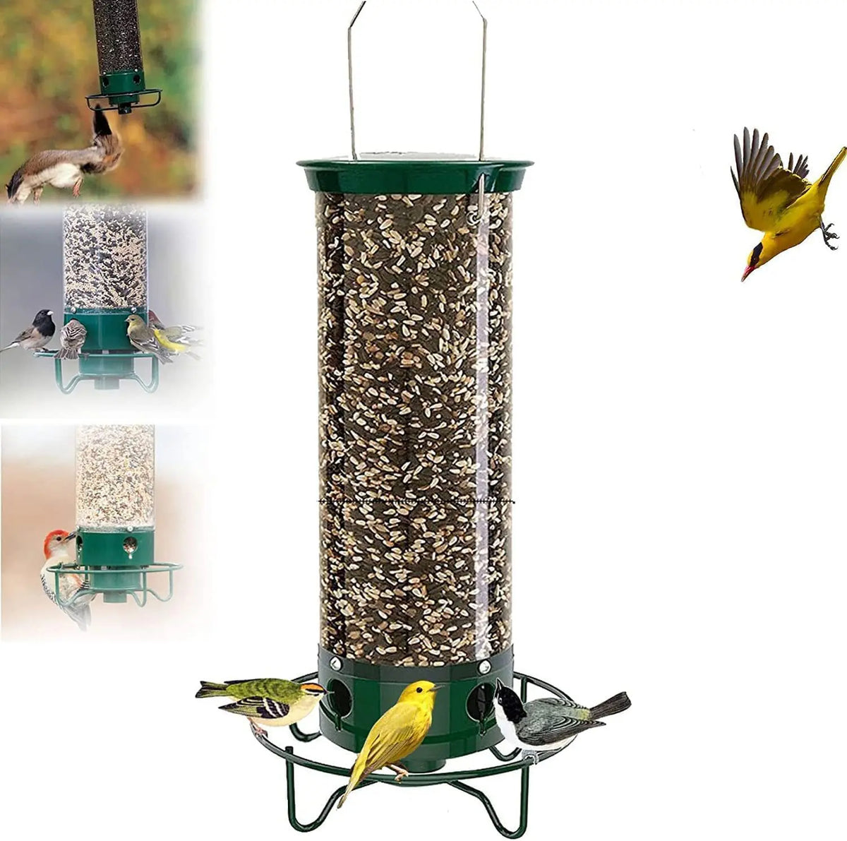 Squirrel Proof Bird Feeder