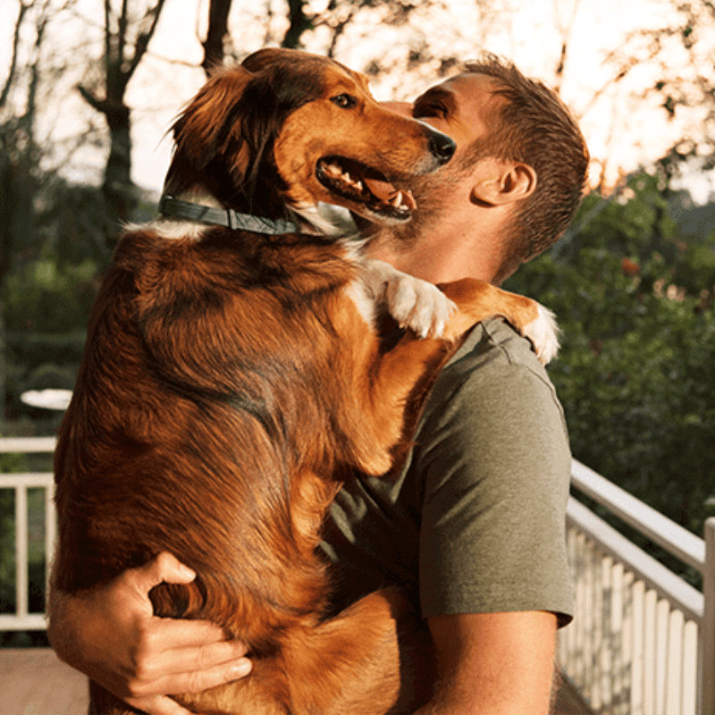 My Furry Friend™ - Collar de prevención de pulgas y garrapatas