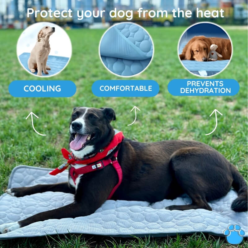 My Furry Friend™ - Ultimate Cooling Mat for Pets