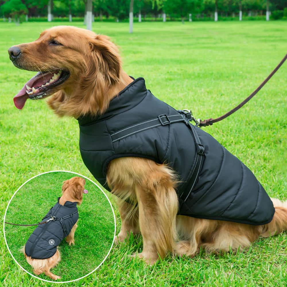 Hundejacke ™