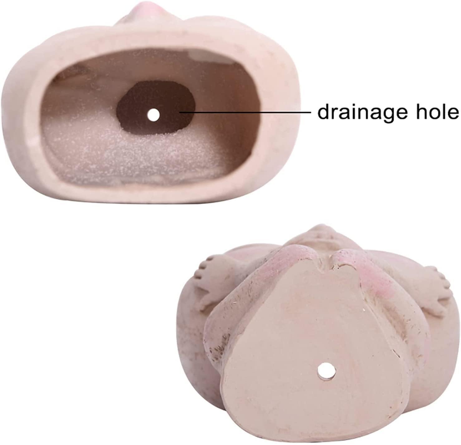 Pot de fleurs pour visage rougissant