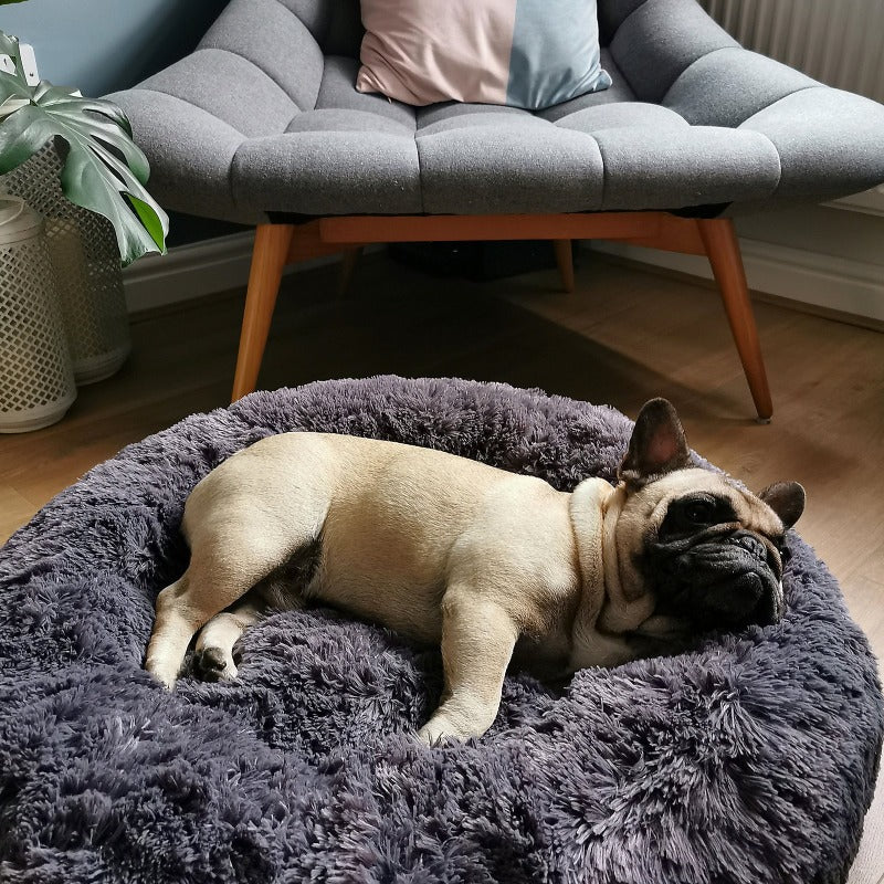 Lit rond en peluche pour chien en forme de beignet apaisant pour petits et grands chiens