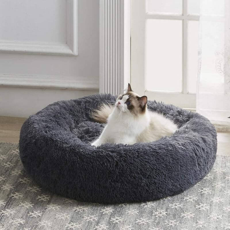 My Furry Friend™: la cama para gatos número uno del mundo para aliviar la ansiedad