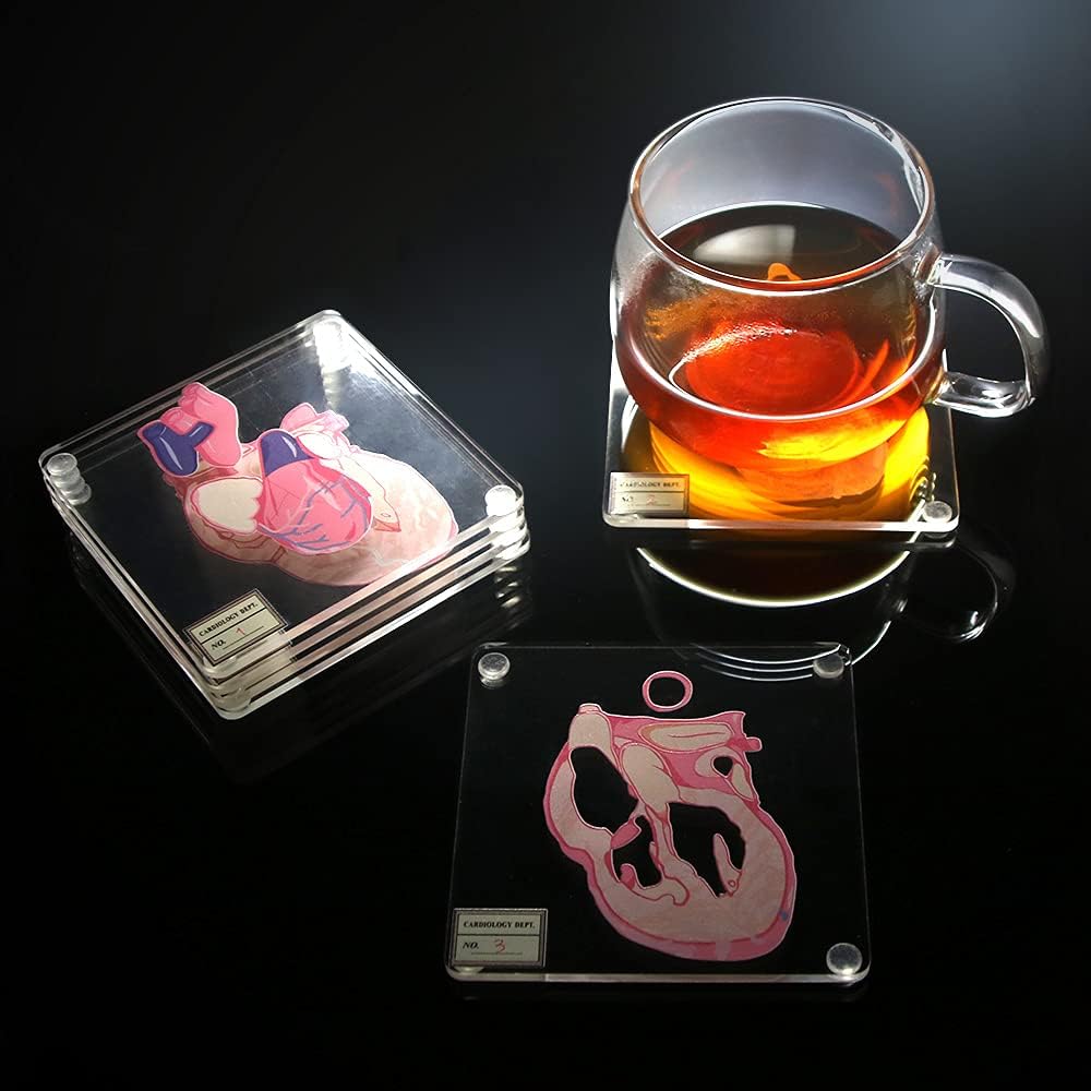 Brain Anatomy Coaster Collectie