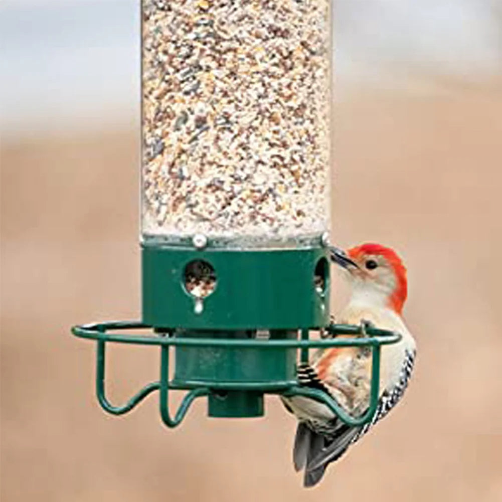 Squirrel Proof Bird Feeder