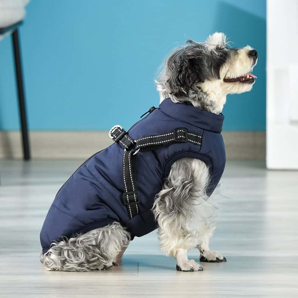 Hundejacke ™