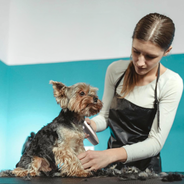 Kit Todo en Uno Pro para el Cuidado del Pelo de Mascotas