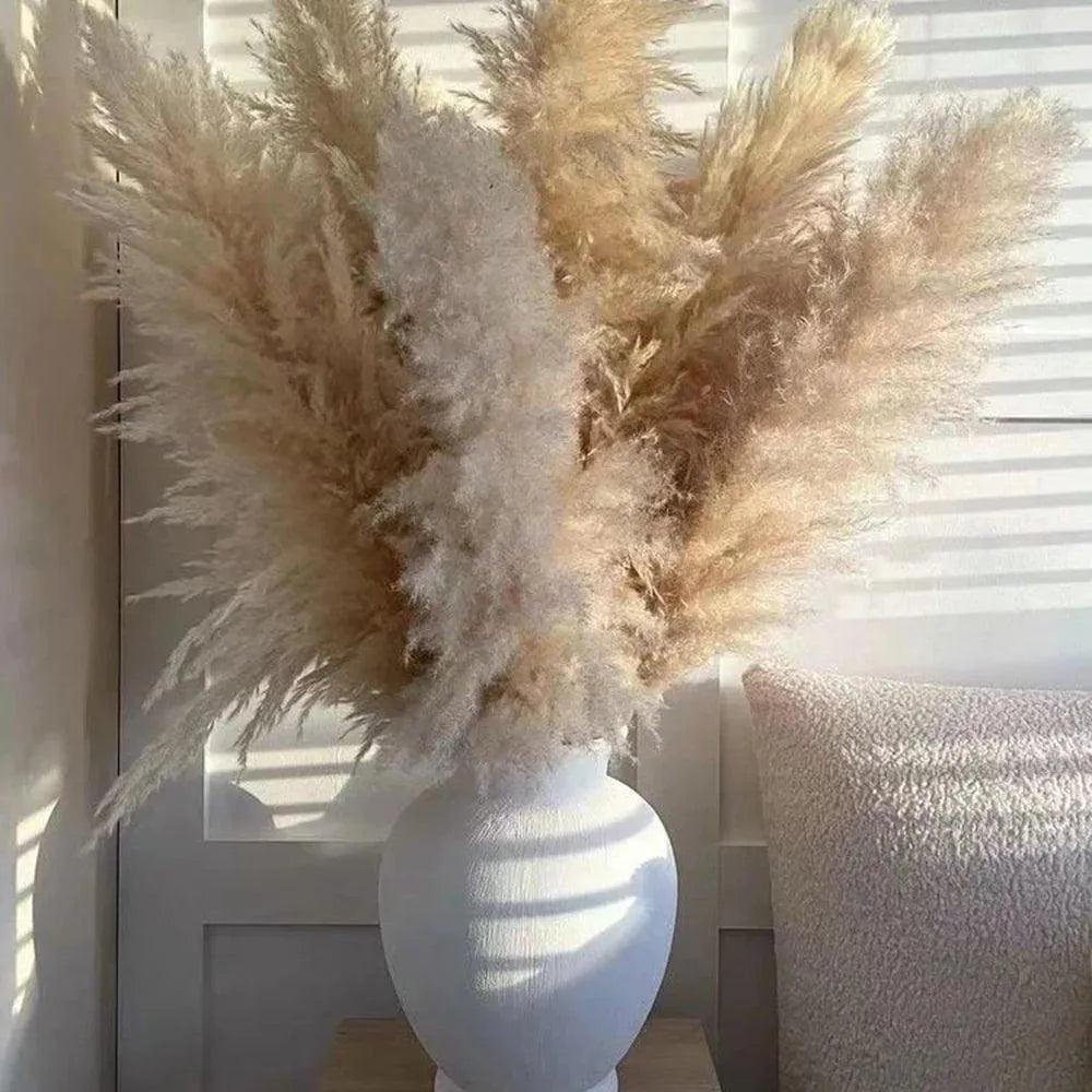 80 cm Naturlig Ekte Tørket Pampasgress Bukett (Hvit / Beige / Grå) │ Fluffy Fjær For Moderne Boho Hjemdekorasjons Ornament