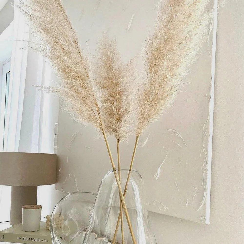 80 cm Přírodní Skutečná Sušená Pampasová Tráva Kytice (Bílá / Béžová / Šedá) │ Chlupaté Peří pro Moderní Boho Domácí Dekoraci Ornament