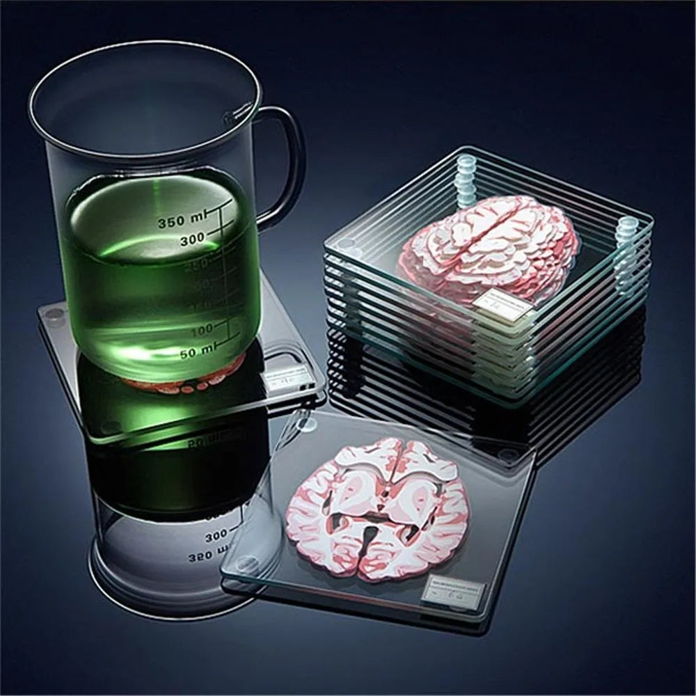 Collection de sous-verres sur l'anatomie du cerveau