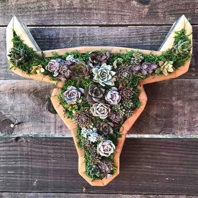 Animal Succulent Garden -järjestely