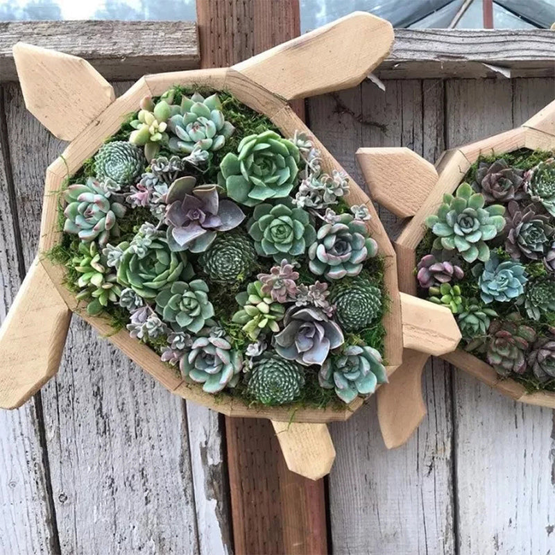 Animal Succulent Garden -järjestely