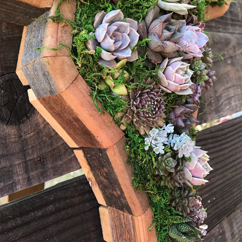 Animal Succulent Garden Arrangement