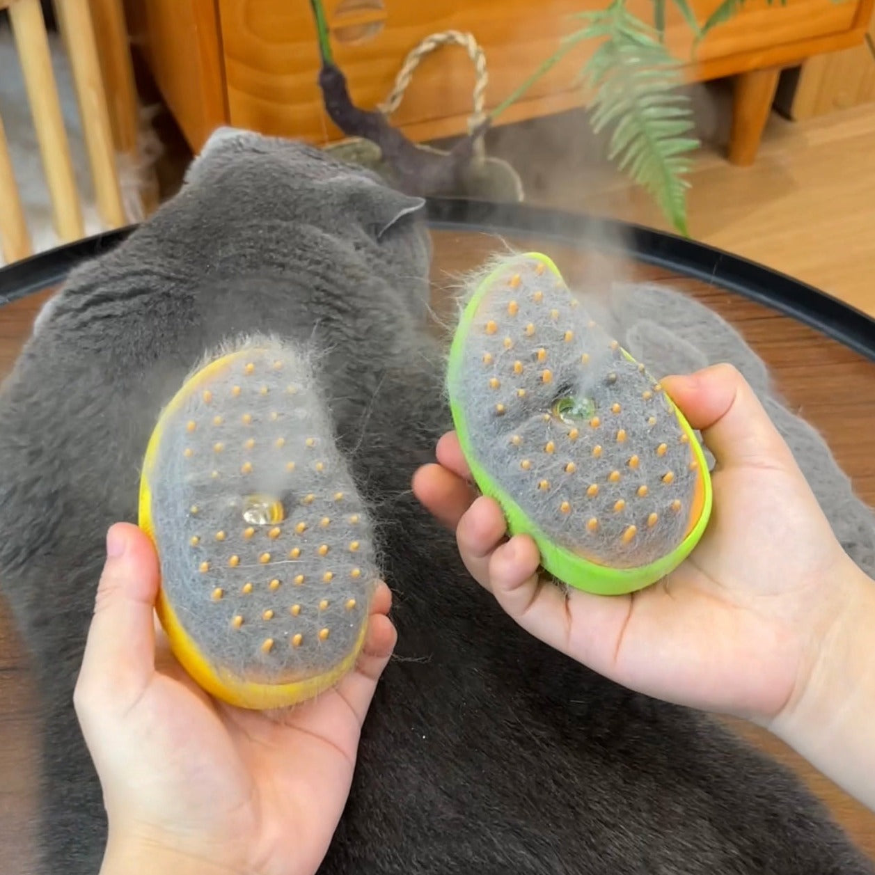 Brosse à vapeur pour chien