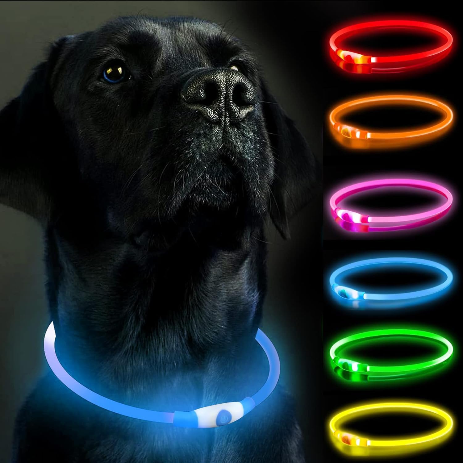 LED-hundhalsband, hundhalsband, uppladdningsbar glänsande nattpromenad