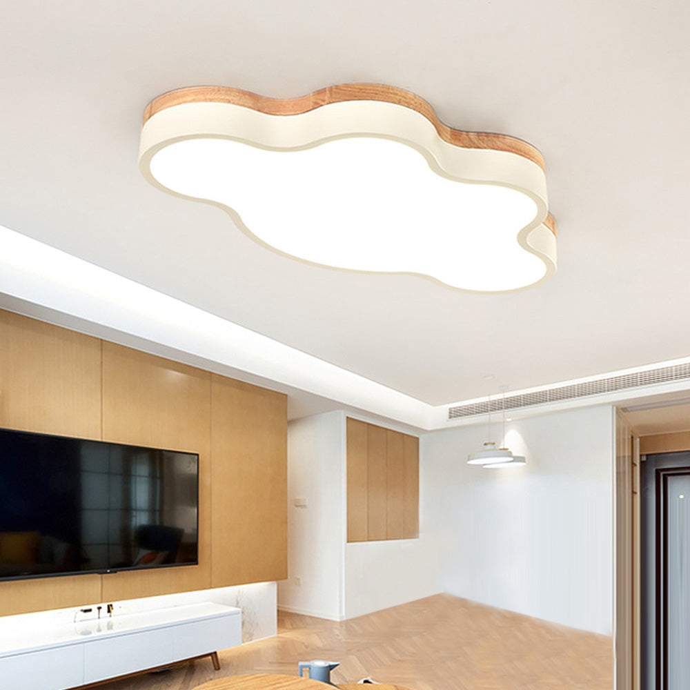 LED Cloudscape Plafondlamp