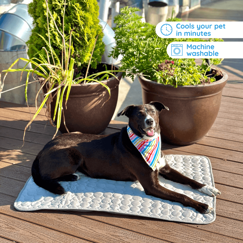 My Furry Friend™ – Tapis rafraîchissant ultime pour animaux de compagnie