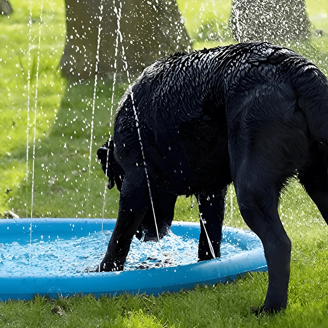 Pawss™ Zomer Splash Pad