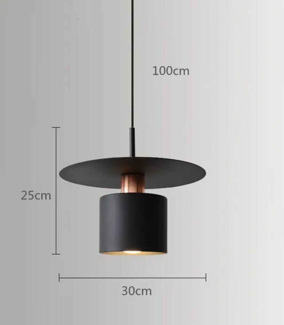 Jednoduchá pendants lampa Urseline