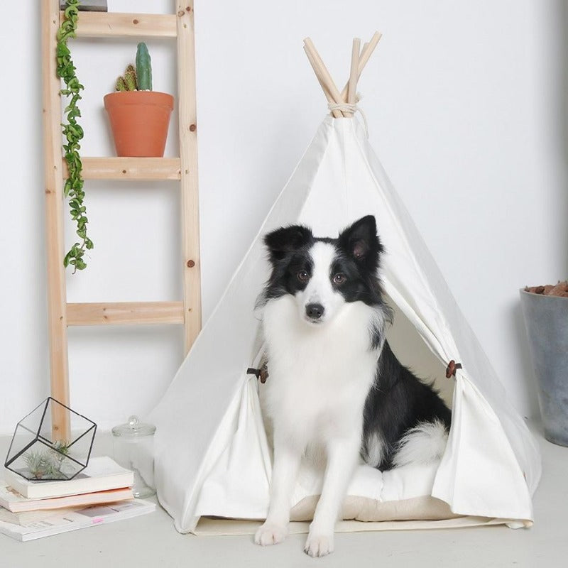 Moderne Boho Hundetipi mit plüschigem Hundebettkissen