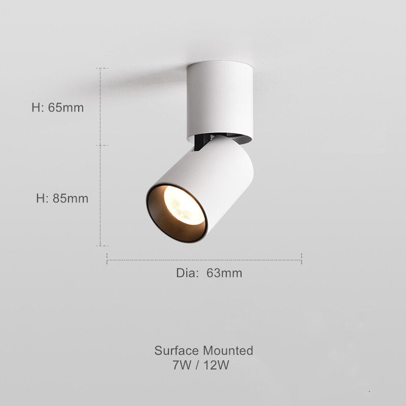 Verstellbares, rundes Oberflächen-Downlight