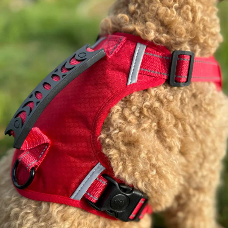 🐕Safe and Comfortable Dog harness