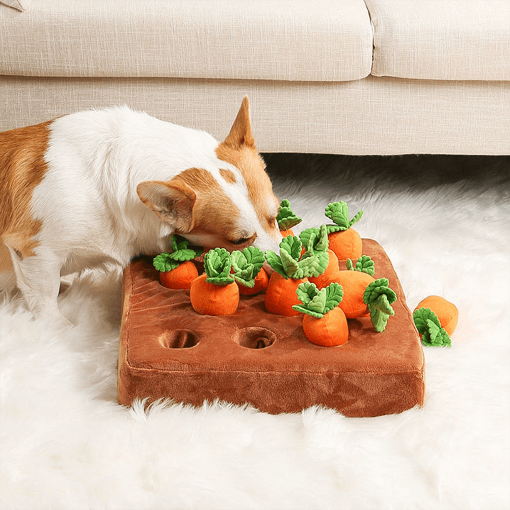 My Furry Friend™ - Giocattolo da fiuto a forma di carota