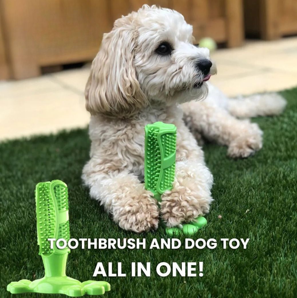 CalmingTeeth -  Durable Dog Chew Toy Toothbrush