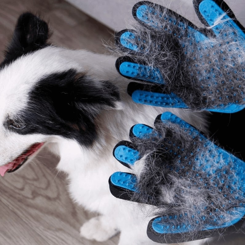 My Furry Friend™ - Cepillo para guantes