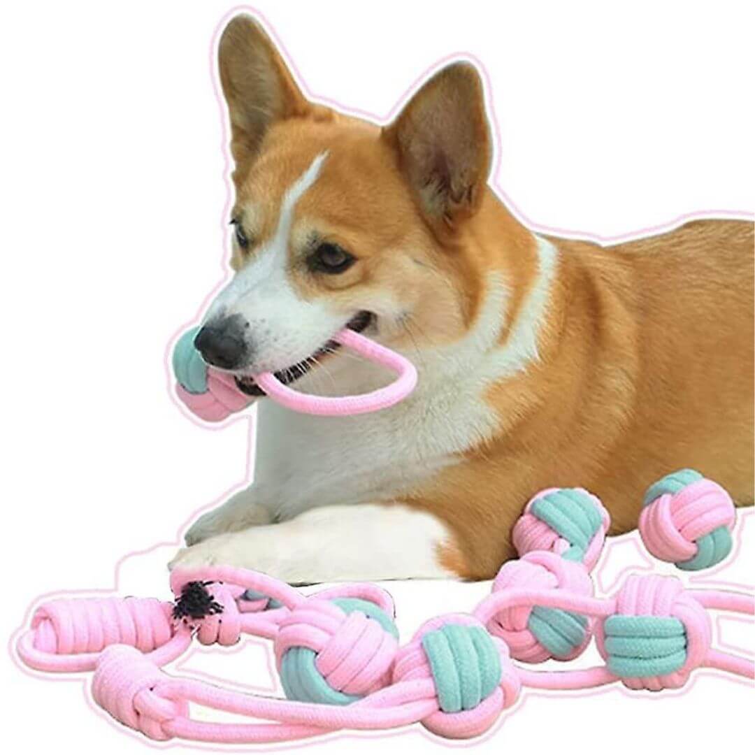 My Furry Friend™ - Set of 6 Dog Toys for Stronger Teeth