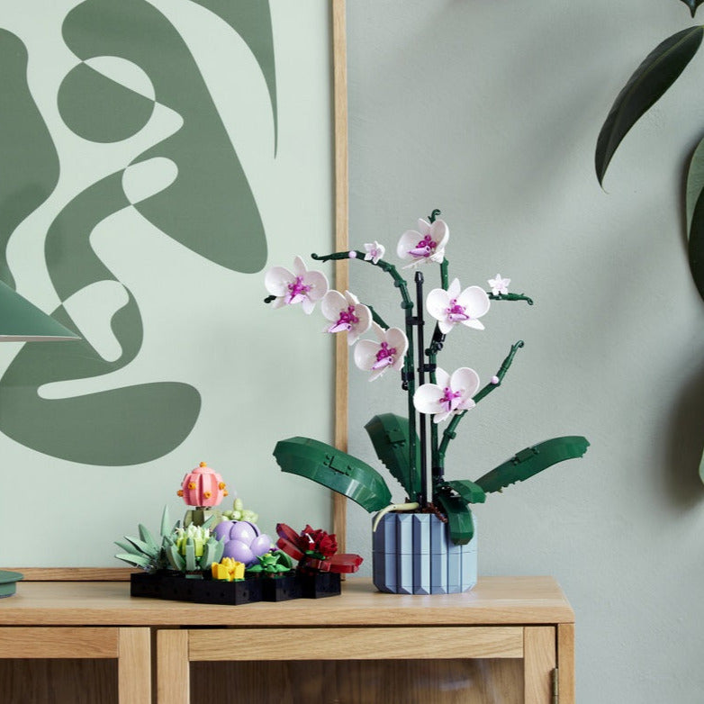 Botanical Collection Decor