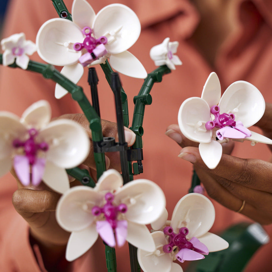 Botanical Collection Decor