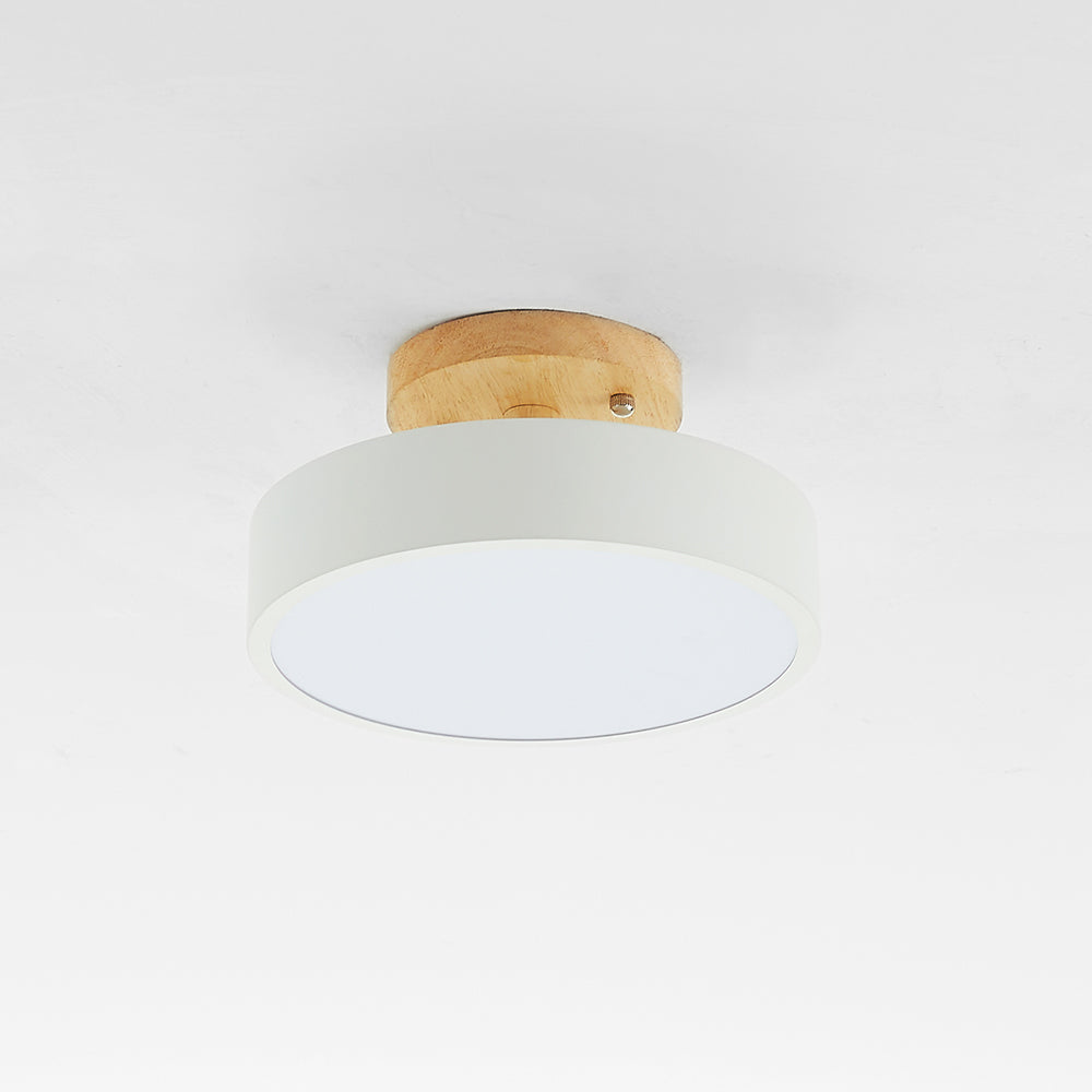 Quinn Modern LED Ceiling Lamp