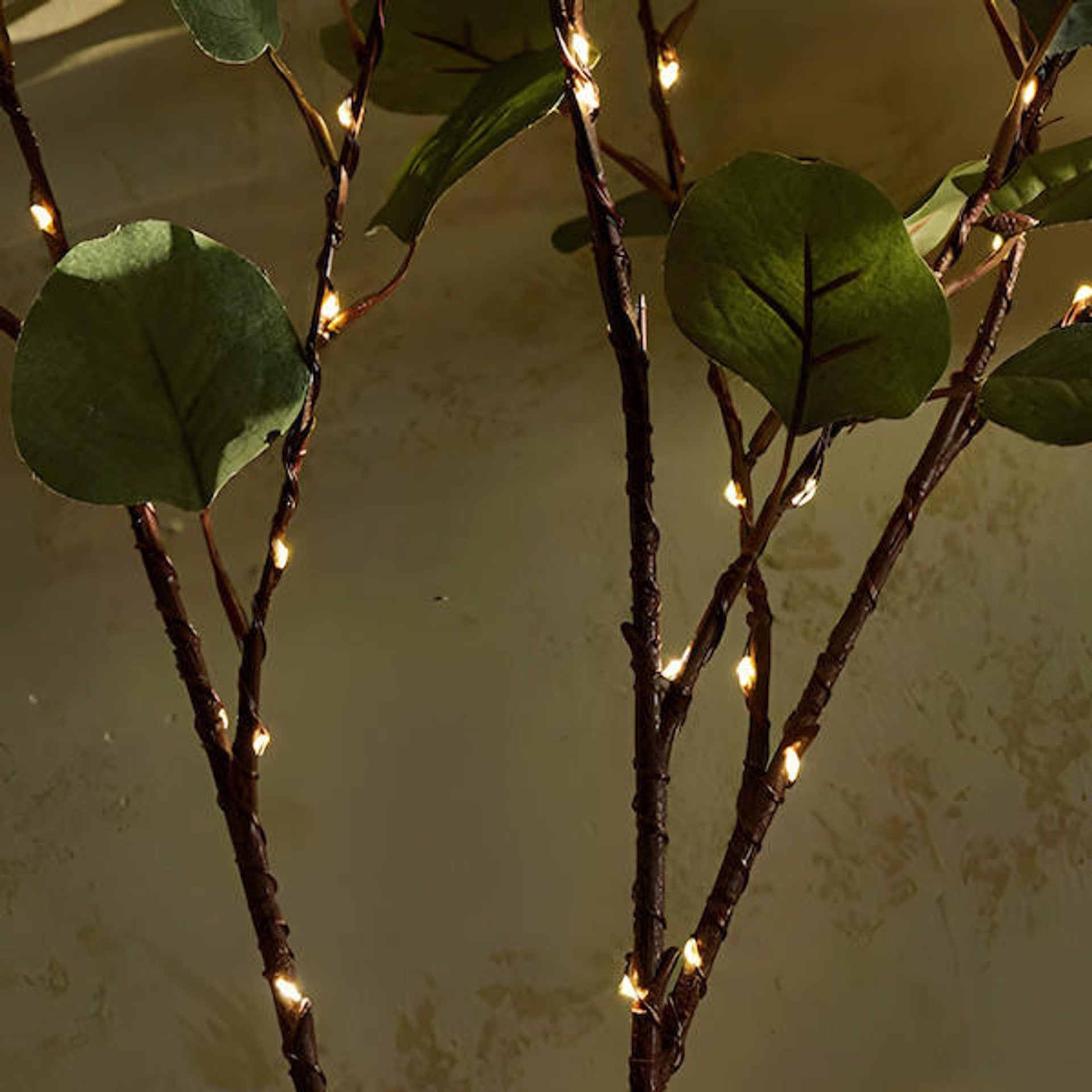 Fairy Light Olive Branch lampe