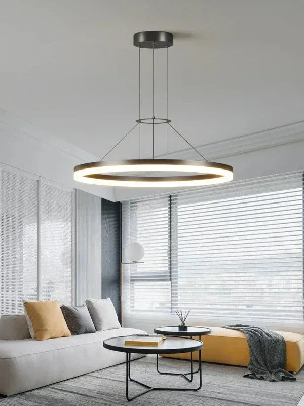 ElegantLight – Hedendaagse uitgebreide hanglamp